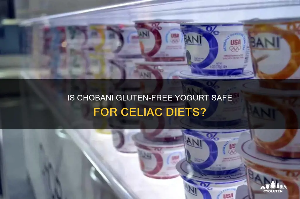 is chobani gluten free yogurt