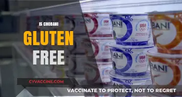 Is Chobani Gluten-Free? A Complete Guide to Safe Yogurt Choices