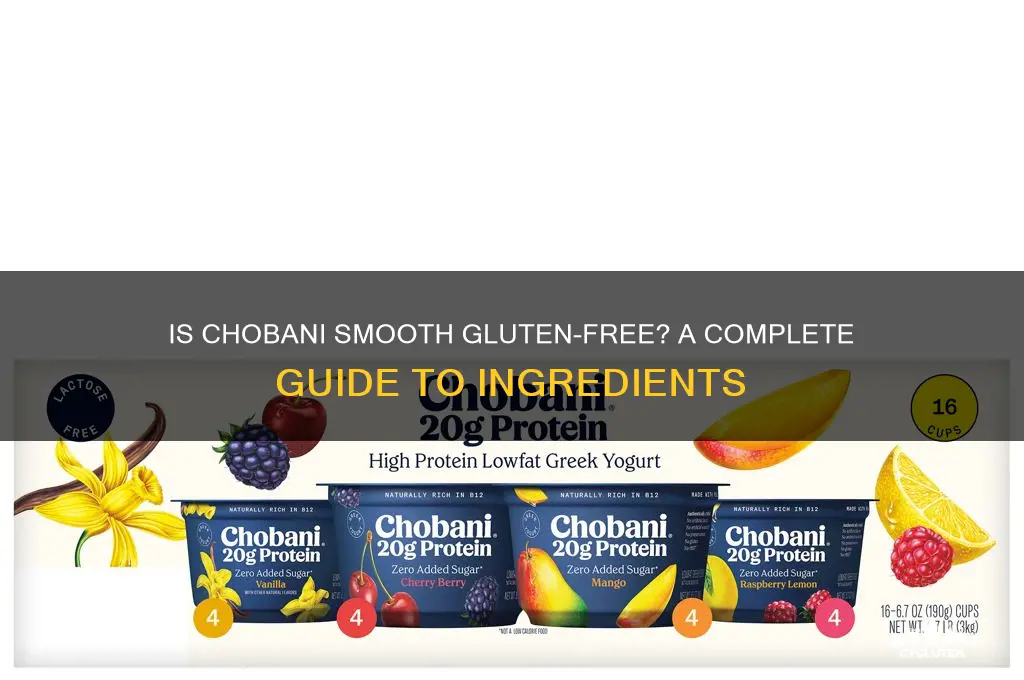 is chobani smooth gluten free