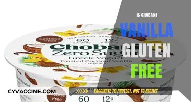 Is Chobani Vanilla Gluten-Free? A Clear Answer for Dieters
