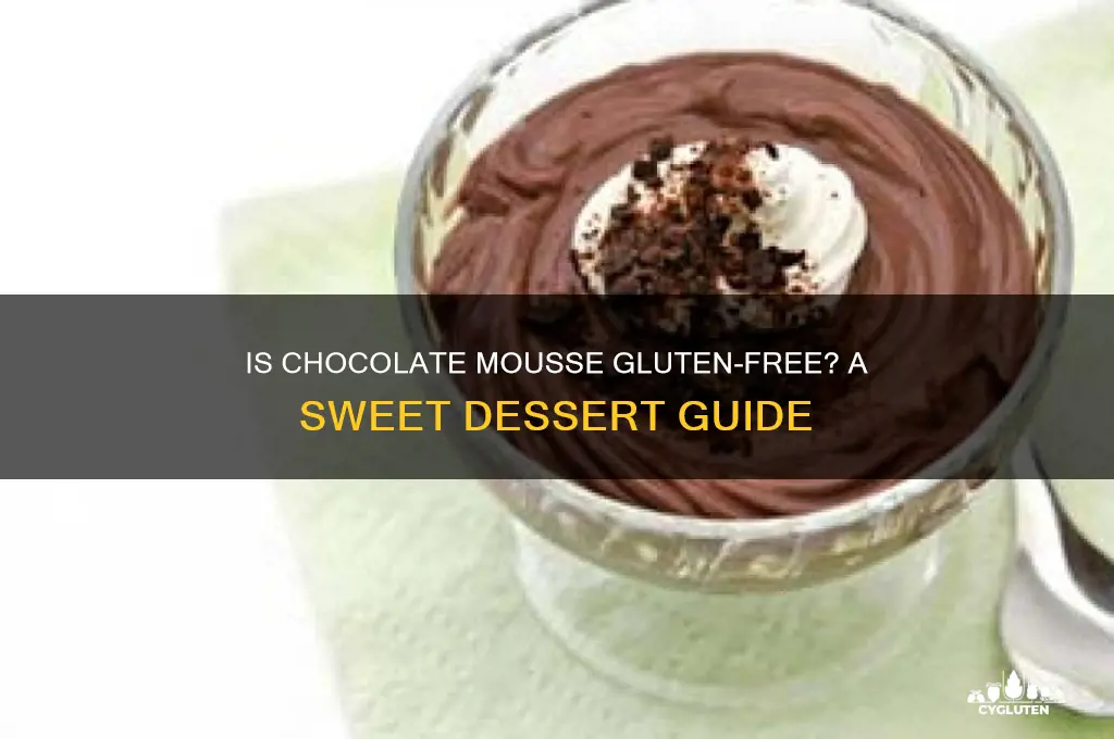 is choc mousse gluten free
