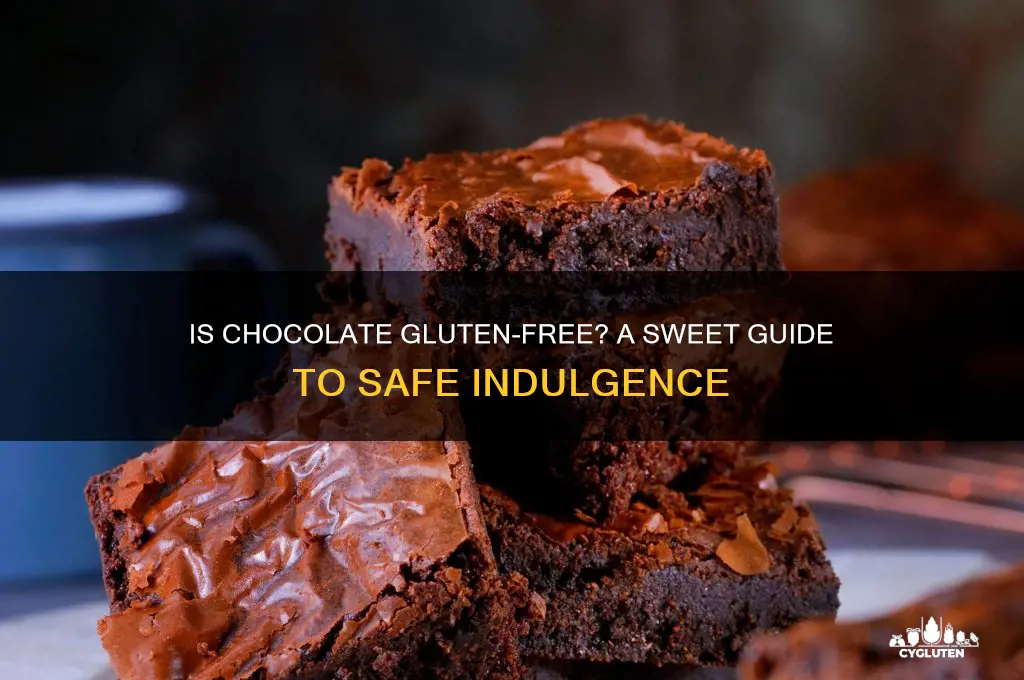 is chocalate gluten free