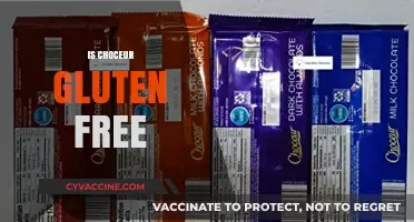 Is Choceur Gluten-Free? A Comprehensive Guide to Your Chocolate Choice