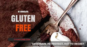Is Chocolate Gluten-Free? A Sweet Guide to Safe Indulgence