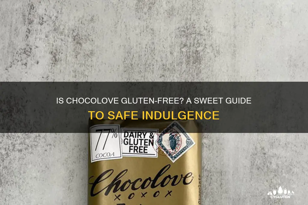 is chocolove gluten free