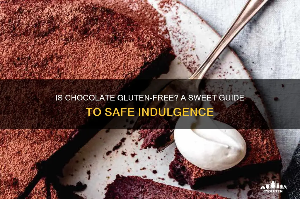 is chocolte gluten free