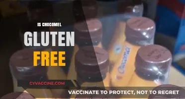 Is Chocomel Gluten-Free? A Comprehensive Guide for Chocolate Milk Lovers