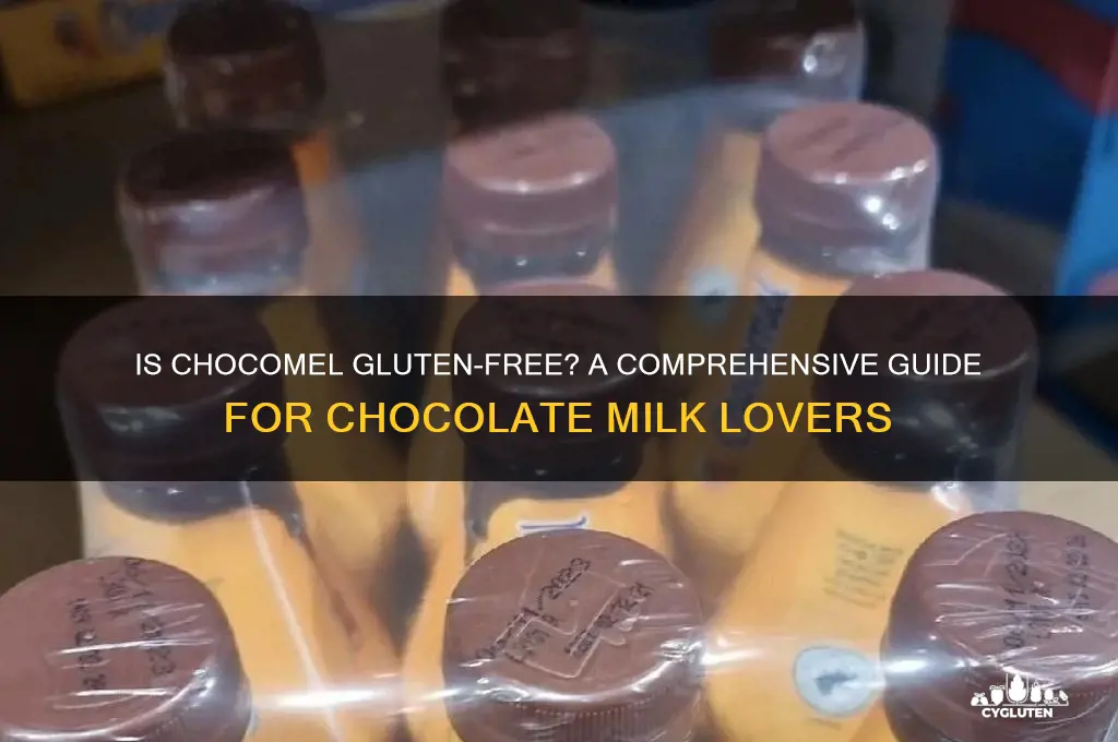is chocomel gluten free