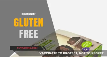 Is Chocovine Gluten-Free? A Sweet and Safe Indulgence Guide