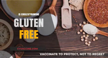Is Cholestyramine Gluten-Free? A Comprehensive Guide for Dietary Concerns