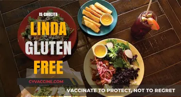 Is Cholita Linda Gluten Free? Exploring Ingredients and Options