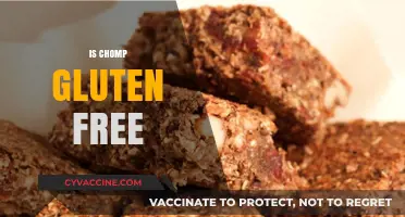 Is Chomp Gluten-Free? A Complete Guide to Ingredients and Safety