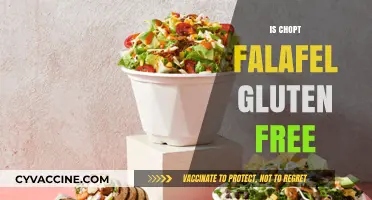 Is Chopt Falafel Gluten-Free? A Diet-Friendly Option Explored
