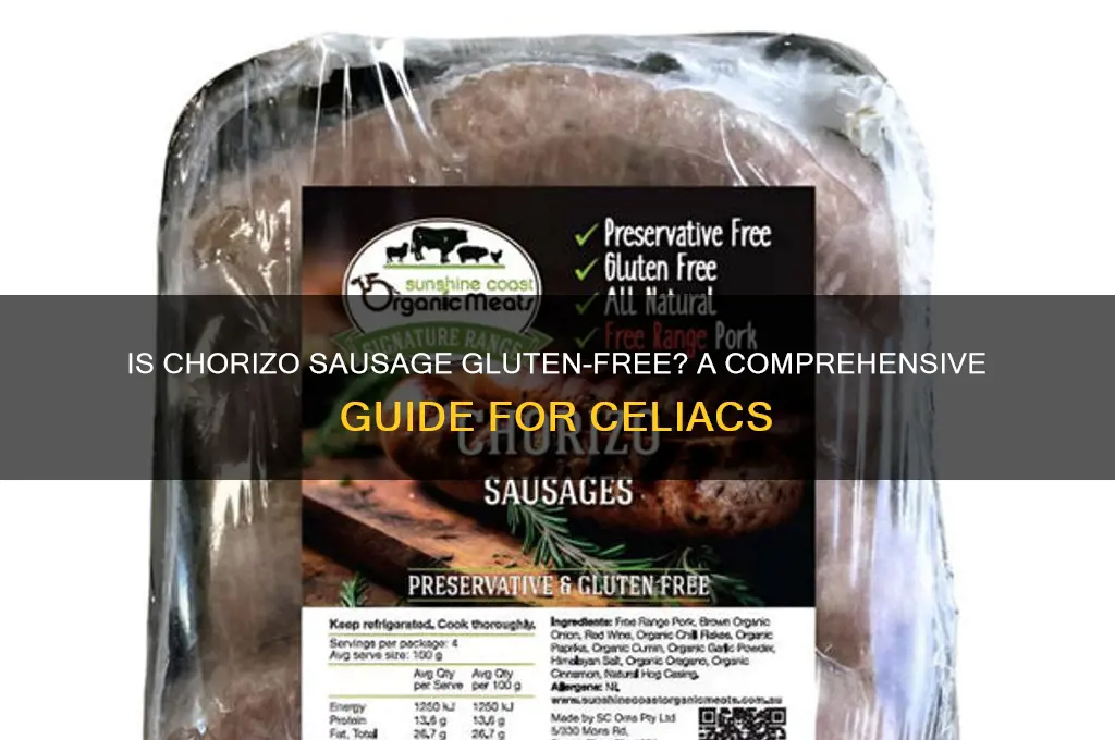 is chorizo sausage gluten free