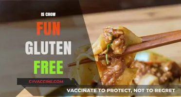 Is Chow Fun Gluten-Free? A Guide to Safe Noodle Options