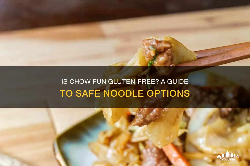 is chow fun gluten free