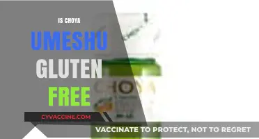 Is Choya Umeshu Gluten-Free? A Complete Guide for Drinkers