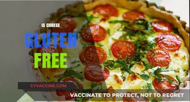 Is Cheese Gluten-Free? A Comprehensive Guide to Safe Cheeses