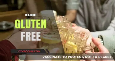 Is Chuhai Gluten-Free? A Comprehensive Guide to Your Favorite Drink