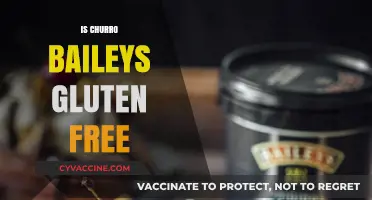 Is Churro Baileys Gluten-Free? A Sweet and Safe Guide
