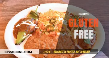Is Chuy's Gluten-Free? Exploring Menu Options for Celiac Diners