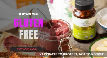 Is Chyawanprash Gluten-Free? A Comprehensive Guide to Ingredients