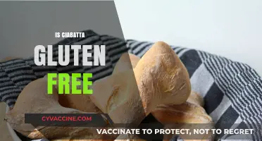 Is Ciabatta Gluten-Free? Understanding Ingredients and Alternatives