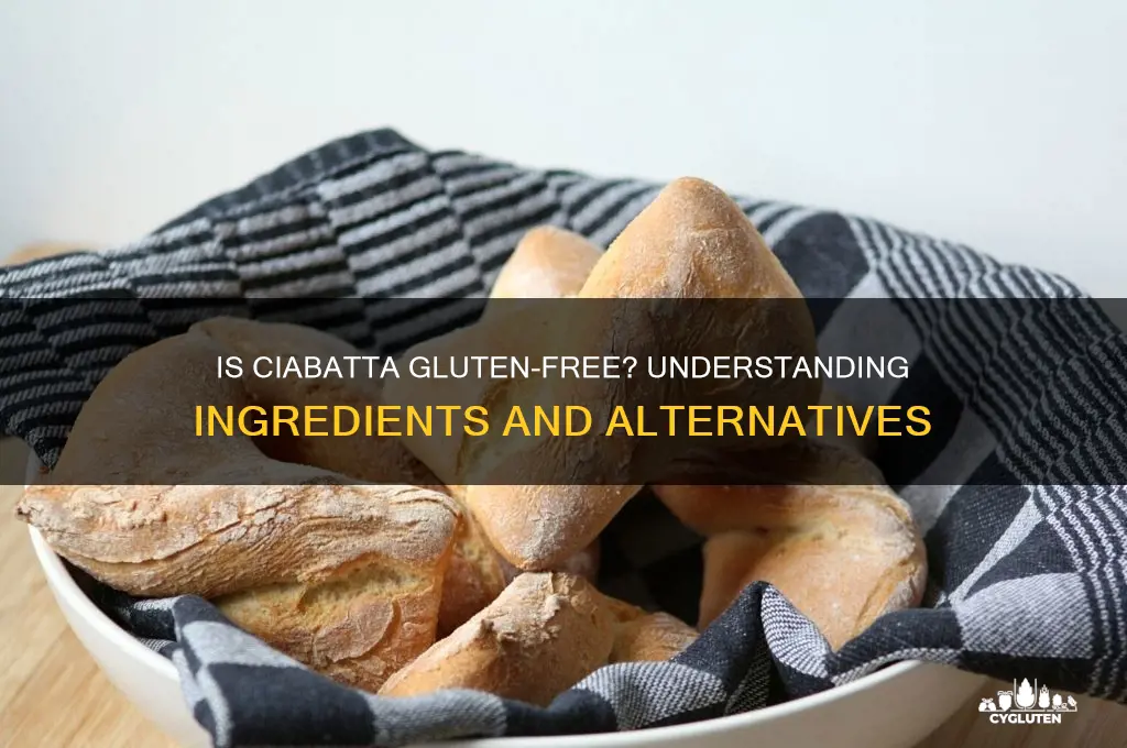 is ciabatta gluten free