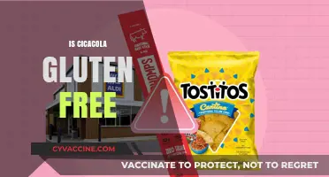 Is Cicacola Gluten-Free? A Comprehensive Guide to Your Favorite Drink