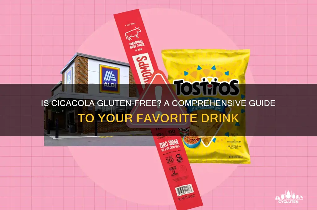 is cicacola gluten free