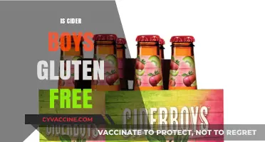 Is Cider Boys Gluten-Free? A Complete Guide to Your Questions