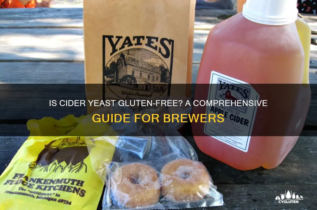 is cider yeast gluten free