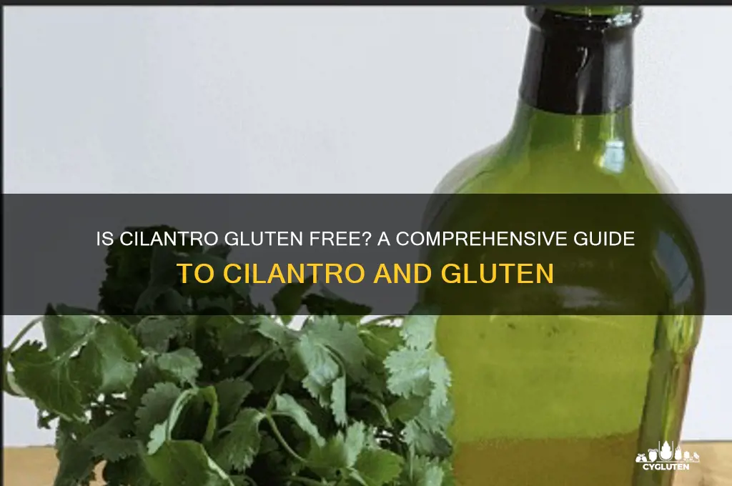 is cilantro gluten free