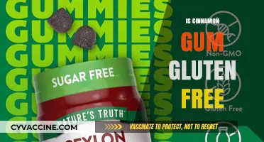 Is Cinnamon Gum Gluten-Free? A Comprehensive Guide for Chewers
