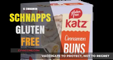 Is Cinnamon Schnapps Gluten-Free? A Complete Guide for Drinkers