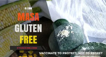 Is Corn Masa Gluten-Free? A Complete Guide for Celiac Diets