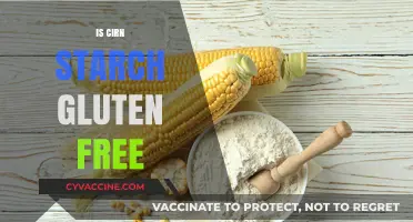 Is Corn Starch Gluten-Free? A Clear and Simple Answer