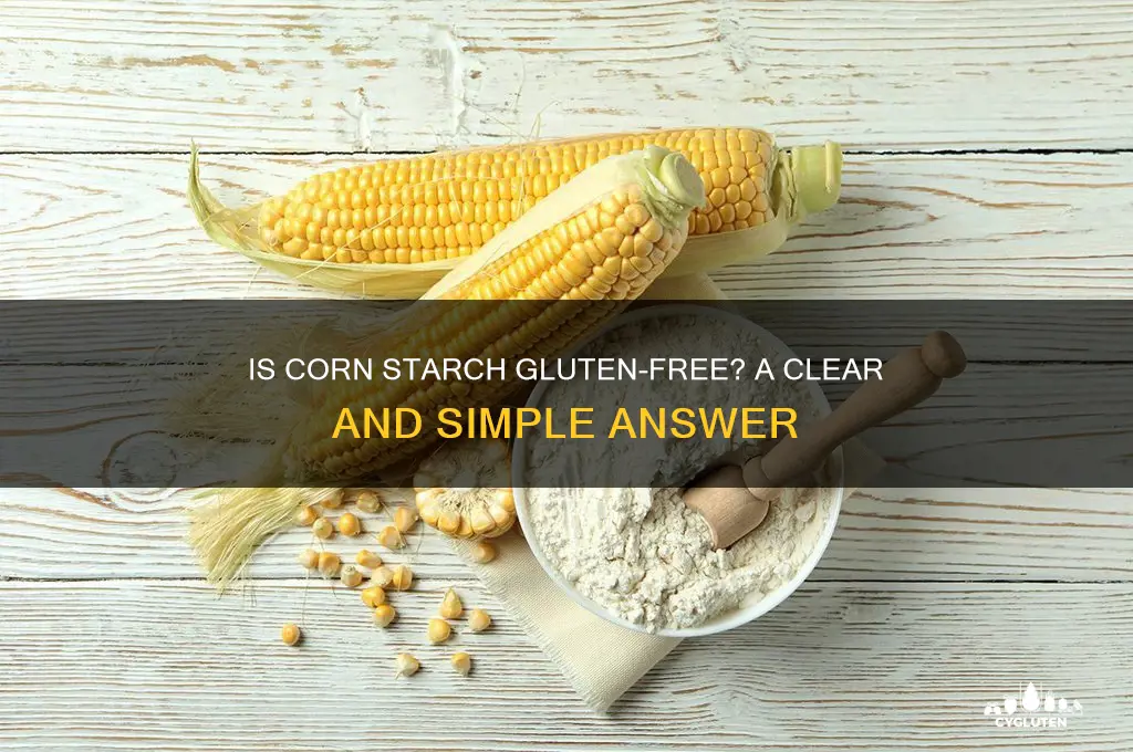 is cirn starch gluten free