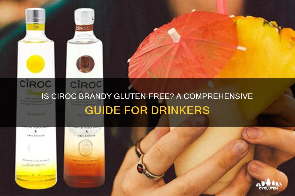 is ciroc brandy gluten free