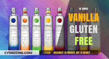 Is Ciroc Vanilla Gluten-Free? A Complete Guide for Drinkers