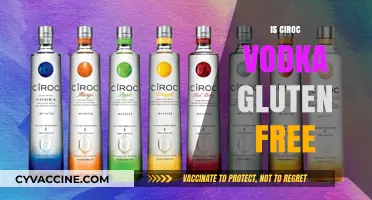 Is Ciroc Vodka Gluten-Free? A Complete Guide for Drinkers