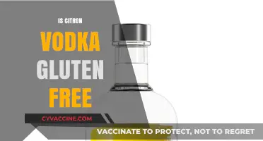 Is Citron Vodka Gluten-Free? Uncovering the Truth for Celiac Drinkers