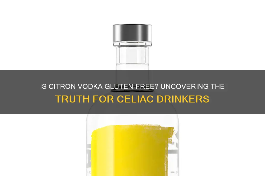 is citron vodka gluten free