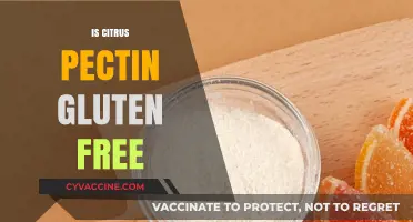 Is Citrus Pectin Gluten-Free? A Clear Answer for Your Diet