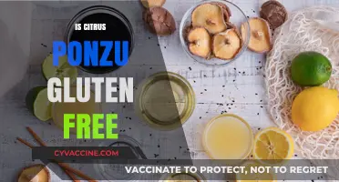 Is Citrus Ponzu Gluten Free? A Complete Guide to Ingredients