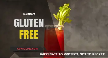 Is Clamato Gluten-Free? Uncovering the Truth for Celiac Diets