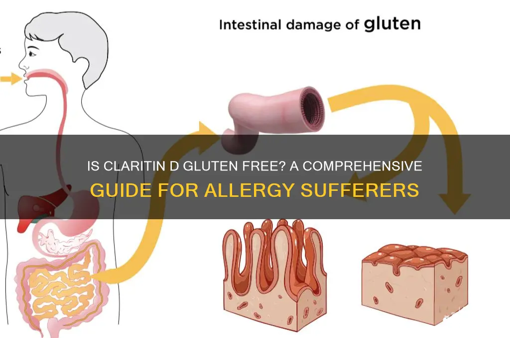 is claritin d gluten free