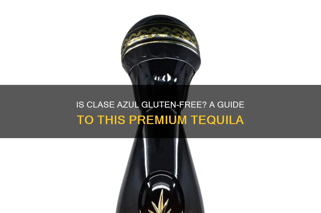is clase azul gluten free