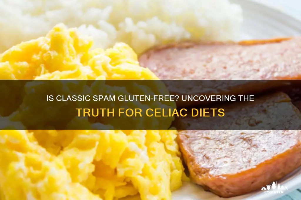 is classic spam gluten free