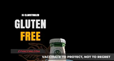 Is Clausthaler Gluten-Free? Uncovering the Truth About This Beer Alternative